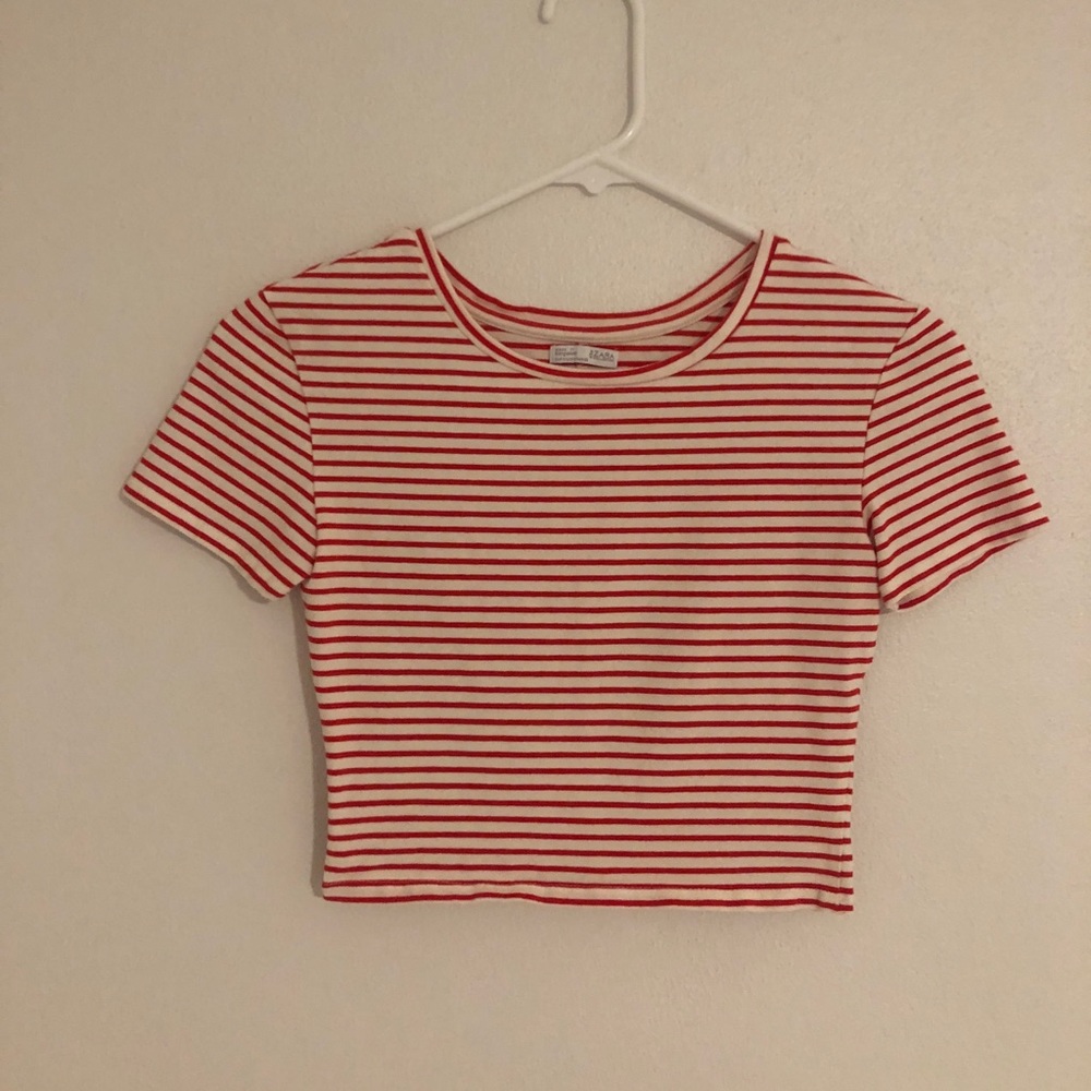 Bundle Zara Crop Tops Small